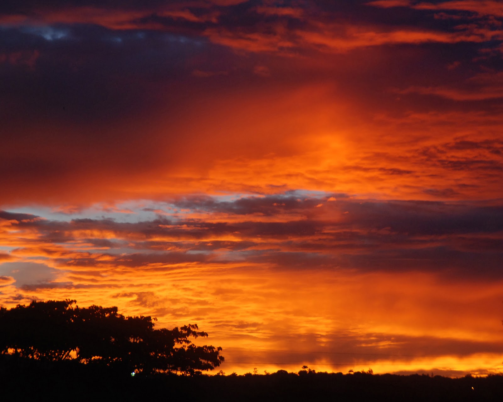 Bello Atarceder Único y Larense Oscar Vargas